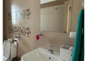 bagno con lavandino, servizi igienici e specchio di Luxury ap 2 rooms - AB House a Lunca Cetăţuii