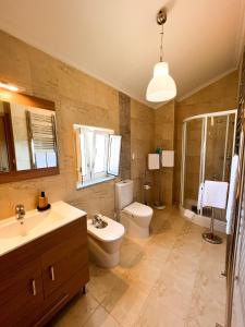 a bathroom with a toilet and a sink and a shower at Quinta das Covas - Trancoso in Trancoso