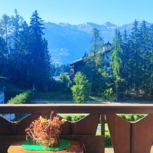a potted plant sitting on a table on a balcony at Bellevue Crans-Montana in Crans-Montana