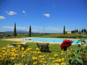 チェッレート・グイーディにあるHoliday home with pool in Stabbiaの芝生の中にベンチ2つと花が咲くプール