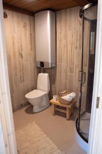 a bathroom with a toilet and a shower at Haanjamehe Taluhotell in Haanja