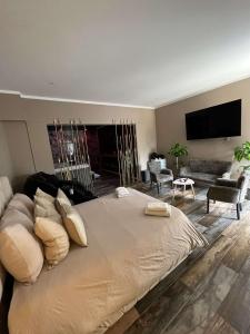a bedroom with a large bed and a living room at Why Not Jacuzzi in Arles