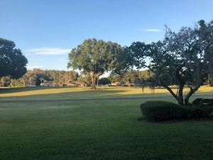 un campo verde con un árbol en el medio. en 2 Beds 1 Bath  Golf Course View condo at Saddlebrook, en Wesley Chapel