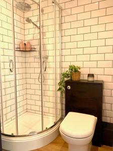 La salle de bains est pourvue de toilettes et d'une douche en verre. dans l'établissement Bright modern flat in central Twickenham, à Twickenham