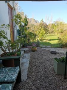 un giardino con piante in vaso sul lato di una casa di 30 Oak Street a Greyton