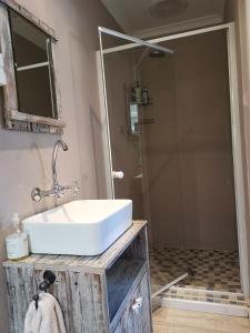 a bathroom with a sink and a shower at 30 Oak Street in Greyton