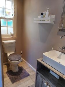 a bathroom with a toilet and a sink at 30 Oak Street in Greyton