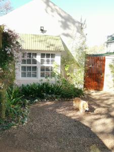 a dog walking in front of a house at 30 Oak Street in Greyton