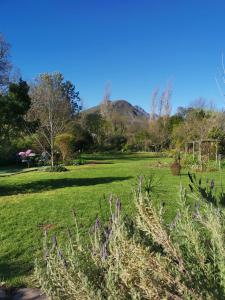 un prato erboso con una montagna sullo sfondo di 30 Oak Street a Greyton