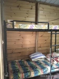 2 łóżka piętrowe w pokoju z drewnianą ścianą w obiekcie Spiritual Nature Farm - Sri Lanka w mieście Matale