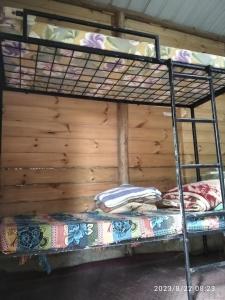 a bunk bed in a room with a wooden wall at Spiritual Nature Farm - Sri Lanka in Matale