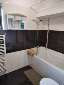 een badkamer met een ligbad en een toilet bij Stefan Apart Iași centru Palas in Iaşi