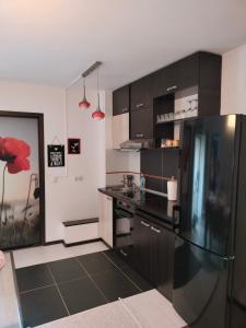 een keuken met zwarte kasten en een zwarte koelkast bij Stefan Apart Iași centru Palas in Iaşi