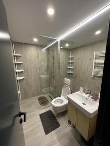 a bathroom with a shower and a toilet and a sink at Apartment Kokhta-Mitarbi B3 408 in Bakuriani
