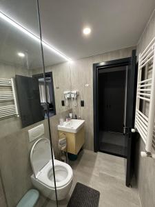 a bathroom with a toilet and a sink at Apartment Kokhta-Mitarbi B3 408 in Bakuriani