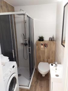 y baño con ducha, aseo y lavamanos. en Apartament 11 Listopada en Ostrołęka