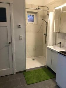 uma casa de banho branca com um chuveiro, um lavatório e um chuveiro em Cosy renovated 1 bedroom apartment. em Antuérpia