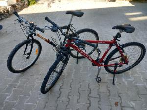 two bikes parked next to each other on a street at Apartment Lan in Homec +2 photos