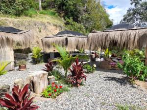 a garden with a bunch of plants and umbrellas at IslaMontaña Glamping in Fómeque