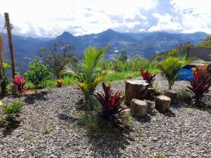 a garden with tropical plants and logs and mountains at IslaMontaña Glamping in Fómeque