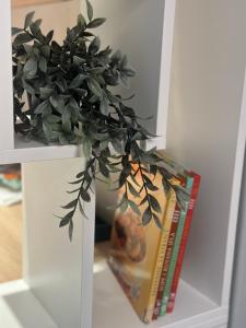 a plant in a white shelf next to a book at EVA Apartment in Novi Sad