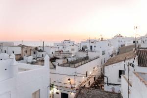 an aerial view of a city with white buildings at Doña Lola Rooms in Conil de la Frontera