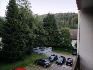 a group of cars parked in a parking lot at Sonnenkalb in Todtmoos