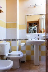 a bathroom with a toilet and a sink and a mirror at Casa El Campano in Ontaneda