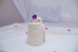 Fotografie z fotogalerie ubytování Babalao Rooftop Hotel v destinaci Paje