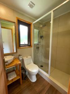 a bathroom with a toilet and a shower and a sink at Huella Patagonia Lodge in Puerto Dunn