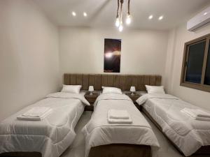 Fotografie z fotogalerie ubytování Jasmine flower hostel v destinaci Madaba