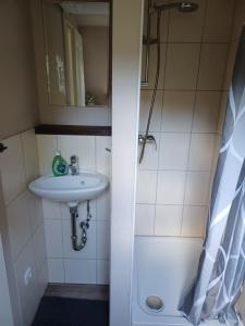 Ванная комната в Ferienhaus Elbliebe - kleine Hunde bis 25 cm willkommen
