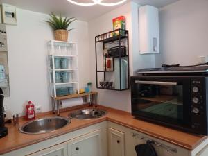 a kitchen with a sink and a microwave at Ferienhaus Elbliebe - kleine Hunde bis 25 cm willkommen in Dannenberg