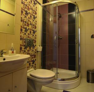 uma casa de banho com um chuveiro, um WC e um lavatório. em Villa Gold em Nová Lesná