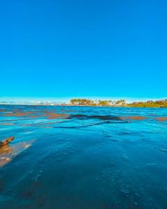 a large body of blue water with trees in the background at Caraiva Recanto Pousada de Ferias in Caraíva