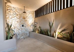 Fotografie z fotogalerie ubytování Casa Candela v destinaci San Jerónimo