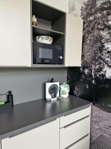 a kitchen with white cabinets and a black counter top at LOFT pri parku in Banská Bystrica