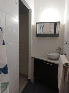 un bagno con lavandino e specchio di Maison 12 pers Douarnenez kerlaz 2 étoiles Atout France a Kerlaz Altre 32 foto