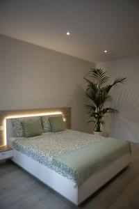 a bedroom with a bed and a potted plant at RomanApartments in Mestre