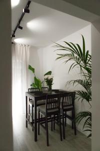 a dining room table with chairs and a plant at RomanApartments in Mestre