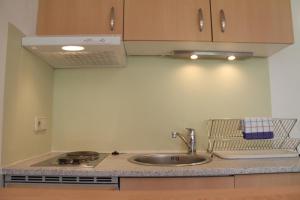 a kitchen counter with a sink and a stove at Pro's Apartment in Hermagor