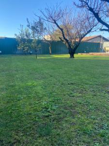 un campo verde con un árbol en el medio. en camera con giardino e piscina, en Scafati