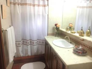 a bathroom with a sink and a toilet and a mirror at Casa Rural El Patio Agulo in Agulo +25 photos
