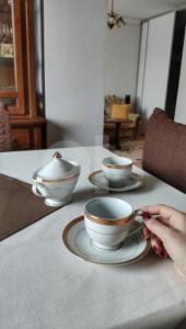 Příslušenství pro přípravu čaje a kávy v ubytování Privatna kuća 1