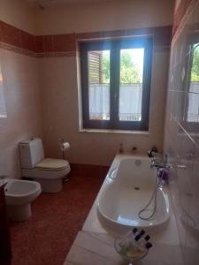 a bathroom with a sink and a toilet and a window at La casa delle fate in Giave