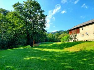 a large grass field next to a barn and a tree at Domek nad Solinką in Żubracze