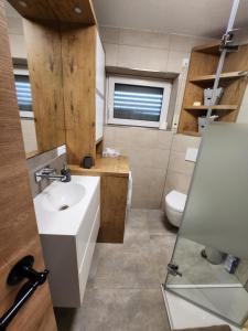 Bilik mandi di Moderne Ferienwohnung im Südschwarzwald