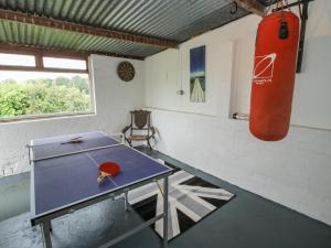 uma mesa de pingue-pongue num quarto com um saco de boxe em Shire Cottage em Shrewsbury