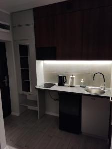 a kitchen with a sink and a counter top at Apartament Curie in Zabrze