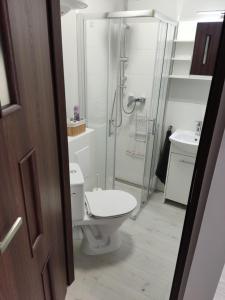 a bathroom with a shower and a toilet and a sink at Apartament Curie in Zabrze